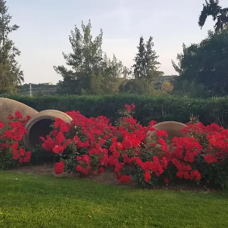 Parque Botanico & Country Club